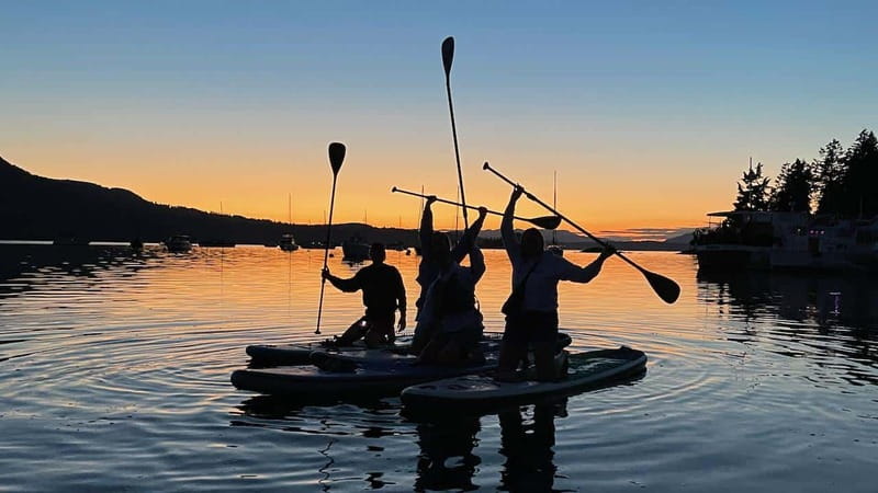 Brentwood Bay: Bioluminescence Tour - What the calm water means for beginners