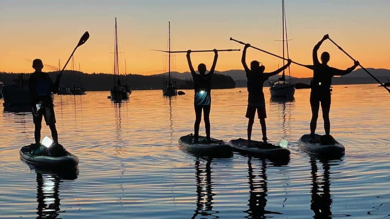 Brentwood Bay: Bioluminescence Tour - The value of $74 for two hours
