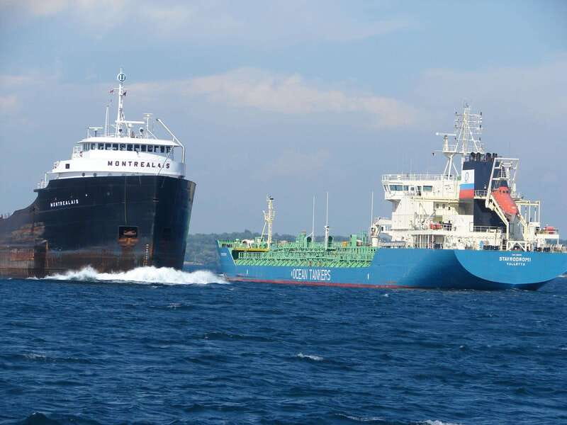 Brockville: 1000 Islands Cruise - Wildlife watching on a short cruise