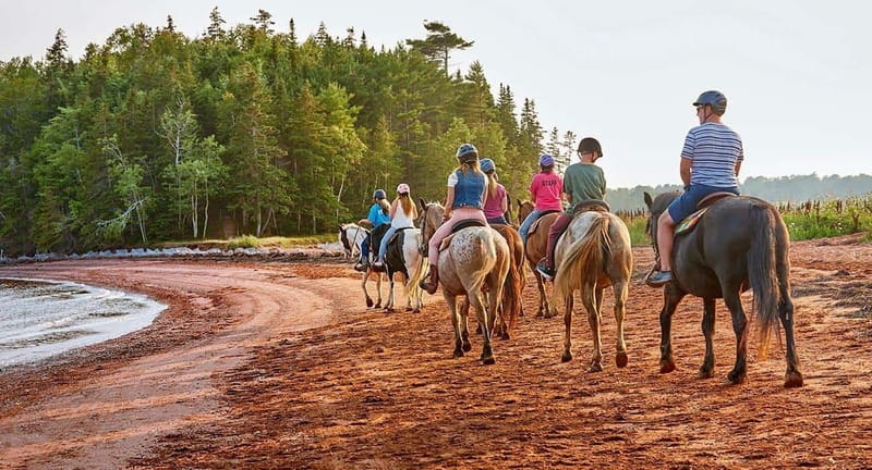 Brudenell: Family-Friendly Horse Ride goes on the Beach - Key points for planning your Brudenell beach ride