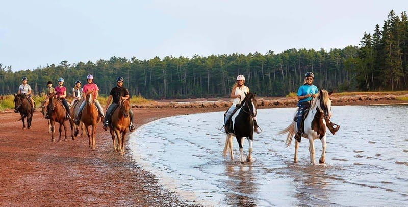 Brudenell: Family-Friendly Horse Ride goes on the Beach - Why the horses matter for first-time riders