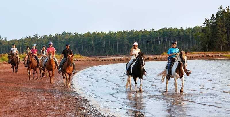 Brudenell: Family-Friendly Horse Ride goes on the Beach - A good family outing, with a few limits