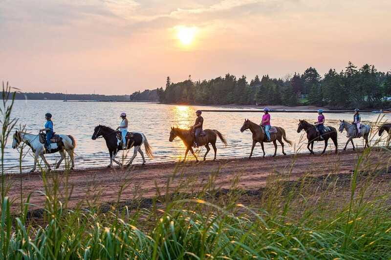 Brudenell: Family-Friendly Horse Ride goes on the Beach - My booking advice