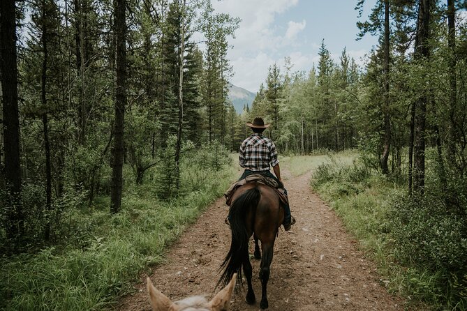 Buffalo Loop 1-Hour Horseback Trail Ride in Kananaskis - Why the horses matter more than the scenery
