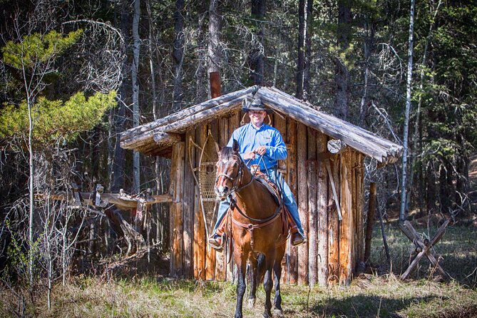 Buffalo Loop 1-Hour Horseback Trail Ride in Kananaskis - The forest trail and the Buffalo Loop