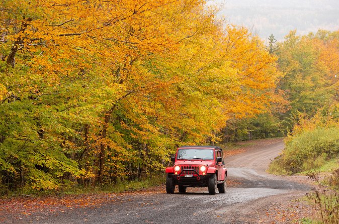 Cabot Trail Jeep Adventure - Cruise Excursion - Six hours is a good fit for a cruise stop