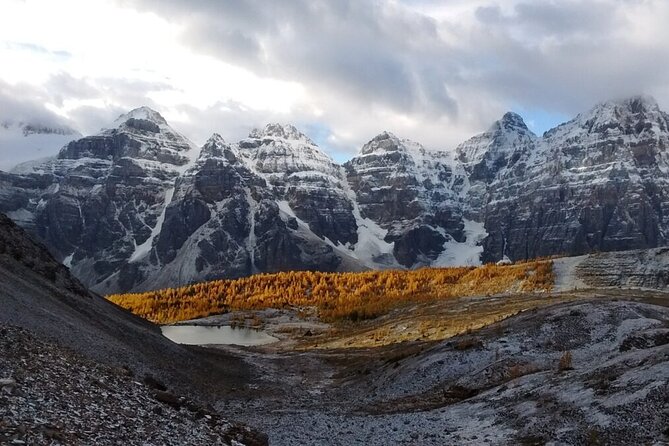Calgary Airport Shuttle to Banff & Lake Louise - The drivers make a real difference