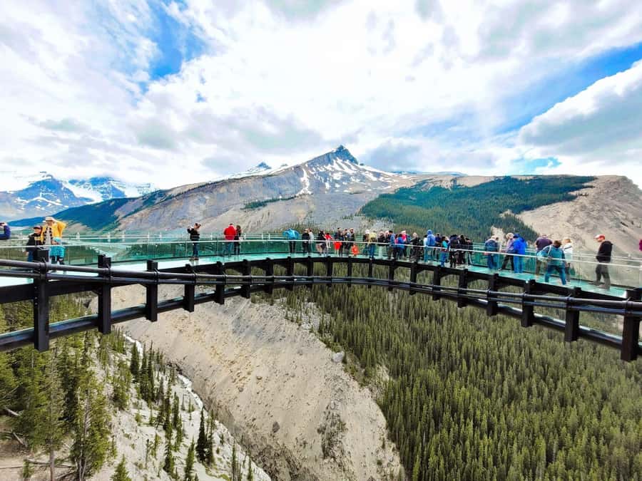 Calgary Banff: Columbia Icefield, Skywalk and Lakes Day Tour - Peyto Lake is the photo star