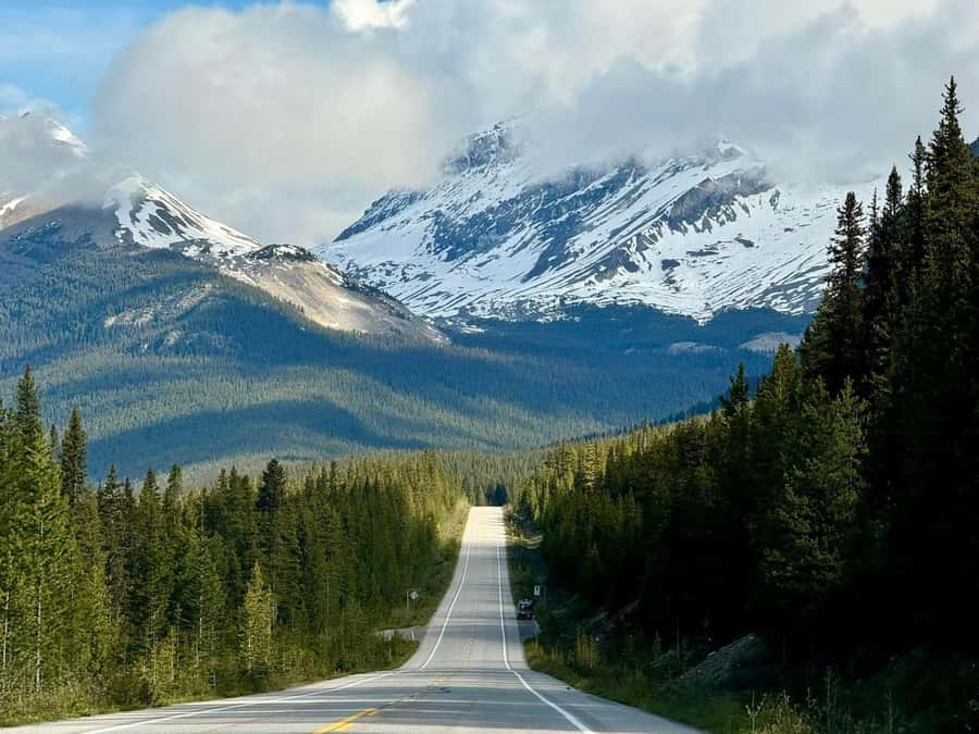 Calgary Banff: Columbia Icefield, Skywalk and Lakes Day Tour - Guides, commentary and the small-group feel