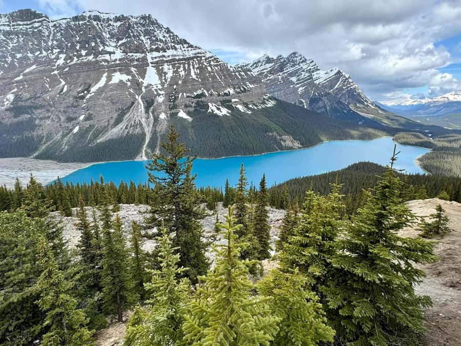 Calgary Banff: Columbia Icefield, Skywalk and Lakes Day Tour - Starting from Calgary, Canmore or Banff