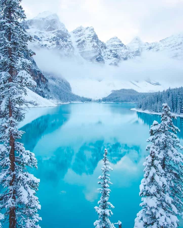 Calgary, Banff: Lake louise , Moraine ,Emerald Lake day Tour - Castle Mountain: a quick first photo stop