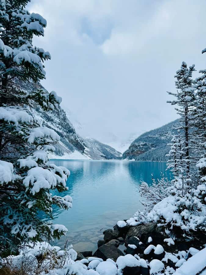 Calgary, Banff: Lake louise , Moraine ,Emerald Lake day Tour - Starting from Calgary, Canmore, or Banff