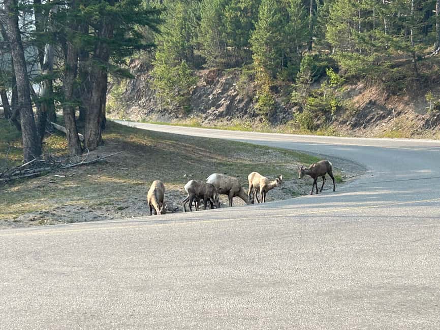 Calgary/Canmore/Banff: BEST of BANFF with LAKES Group Tour - Is $131 a fair price?