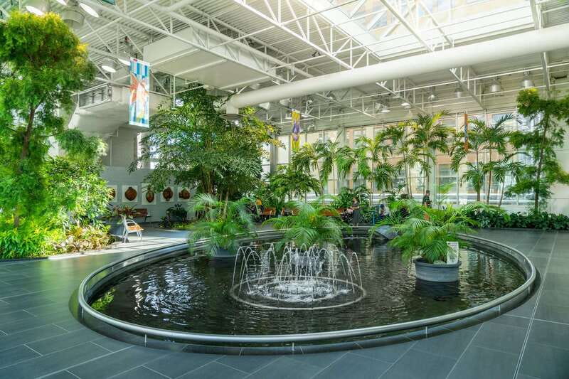 Calgary: City Highlights Walking Tour | 3-Hour - Meeting at The Edison