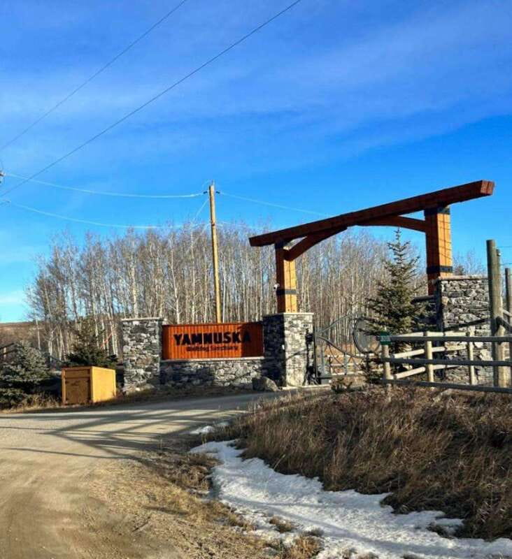 Calgary City Tour & Yamnuska Wolfdog Sanctuary Private Tour - Who will get the most from this private tour