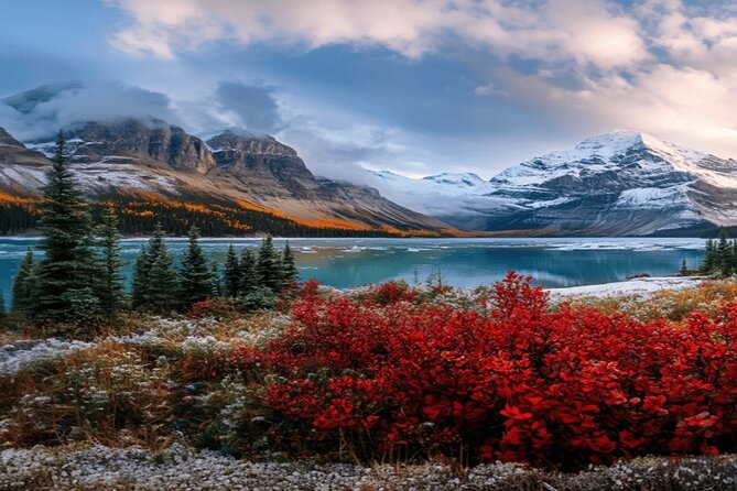 Calgary: Columbia Icefield Adventure, Skywalk and Peyto Lake Tour - The Columbia Icefield Skywalk adds a glass-floor viewpoint