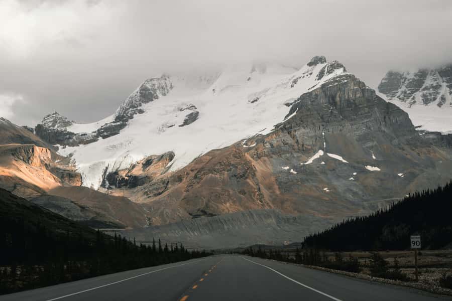 Calgary: Day Trip to Jasper with Lunch - Key points at a glance