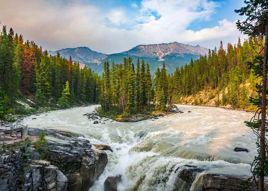 Calgary: Day Trip to Jasper with Lunch - Sunwapta Falls and Tangle Creek Falls bring the noise
