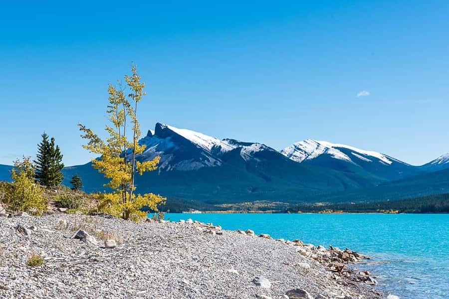 Calgary: Day Trip to Jasper with Lunch - The drive is part of the experience, and part of the price