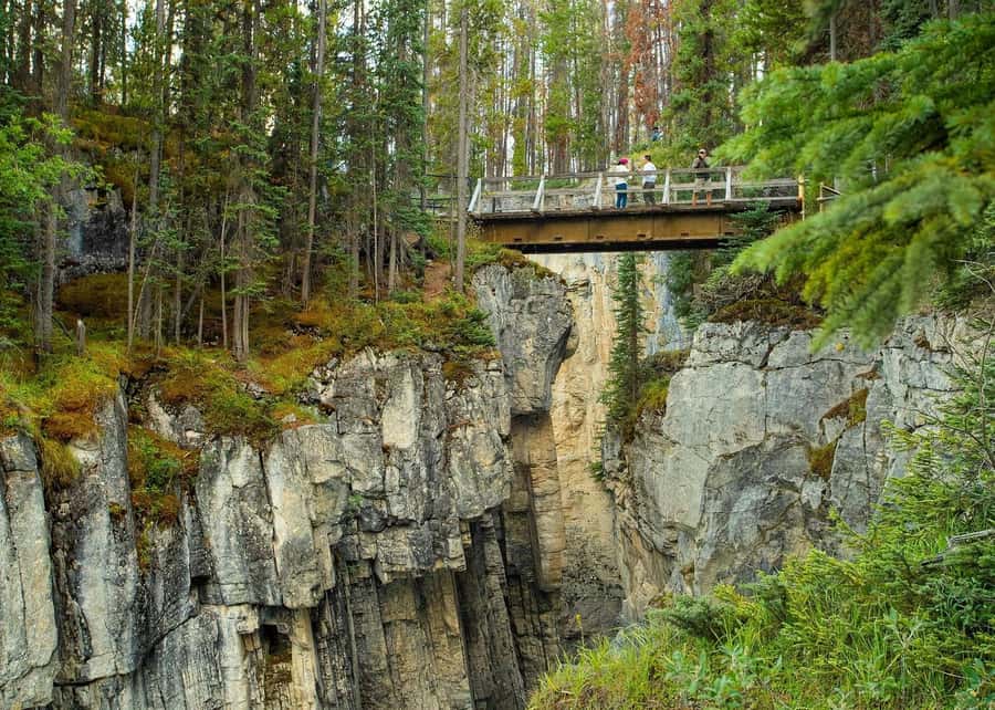Calgary: Day Trip to Jasper with Lunch - What the guides add to a packed schedule
