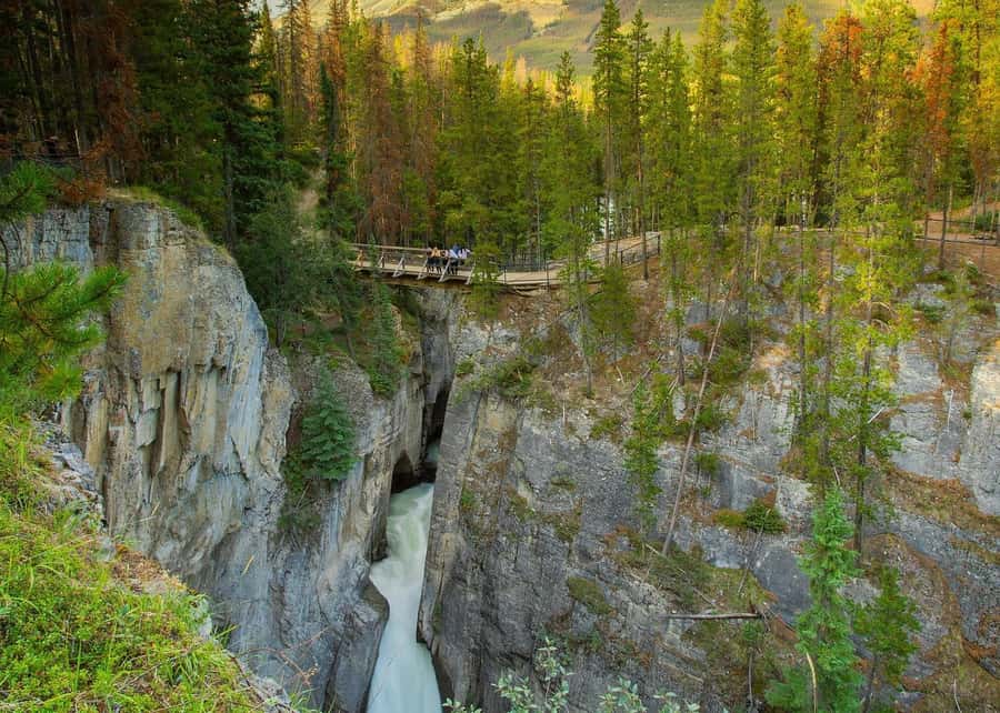 Calgary: Day Trip to Jasper with Lunch - Who should book this tour