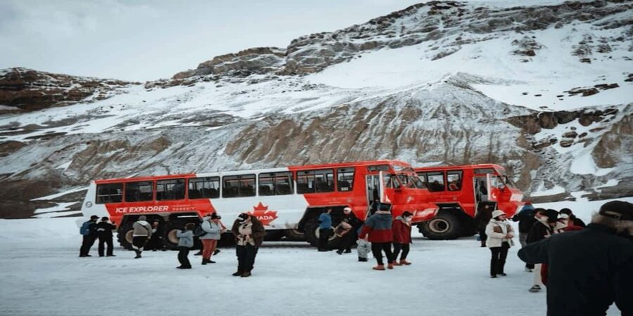 Calgary: Icefield Adventure, Skywalk and three Glaciers Tour - Bow Lake brings the classic alpine view