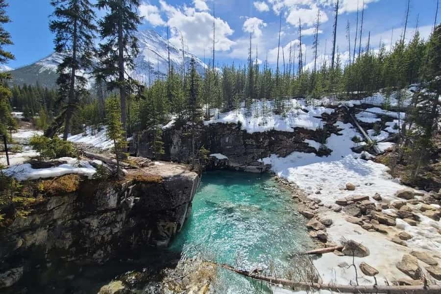 Calgary: Radium Hot Springs & Marble Canyon Day Trip - The van ride is a major part of the experience