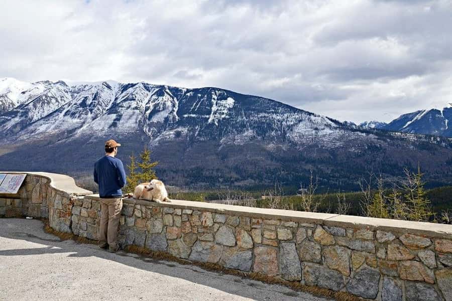 Calgary: Radium Hot Springs & Marble Canyon Day Trip - The guides can shape a long day