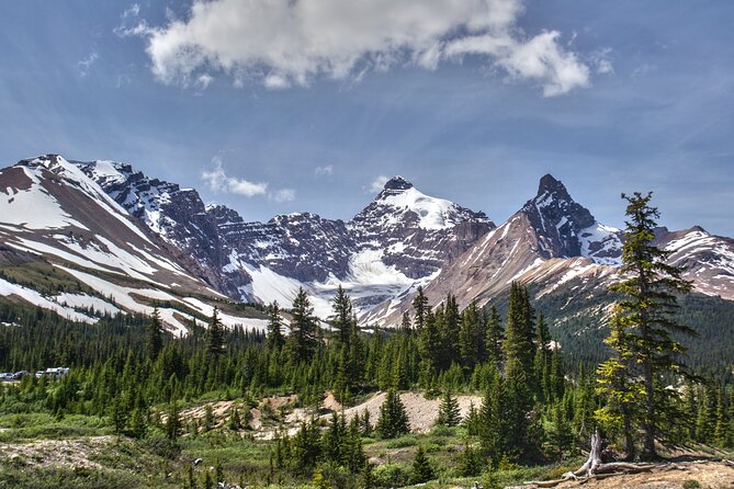 Calgary to Banff/Canmore PRIVATE Shuttle - A private ride from Calgary to the Rockies