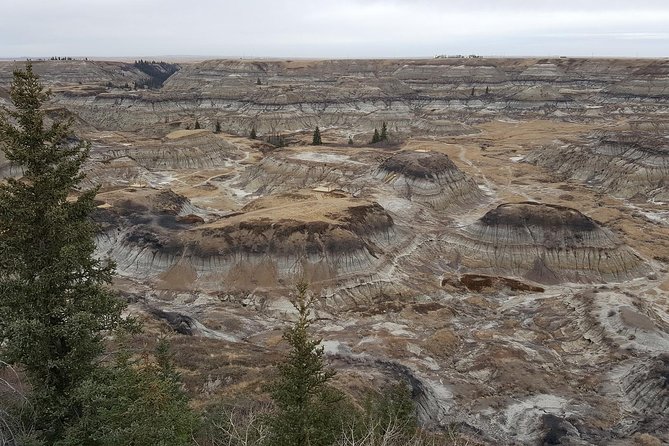 Calgary to Royal Museum | Drumheller – PRIVATE TOUR - Two hours inside the Royal Tyrrell Museum