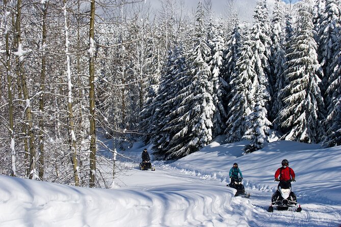 Callaghan Cruiser Snowmobile Tour - The return ride and what three hours really means