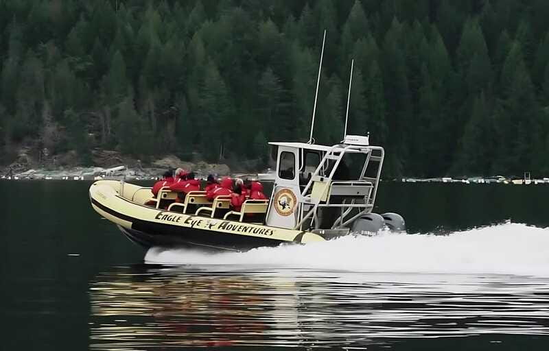 Campbell River: 6 Hour Zodiac Whale Watching Tour w/ Lunch - Is six hours the right length for you?
