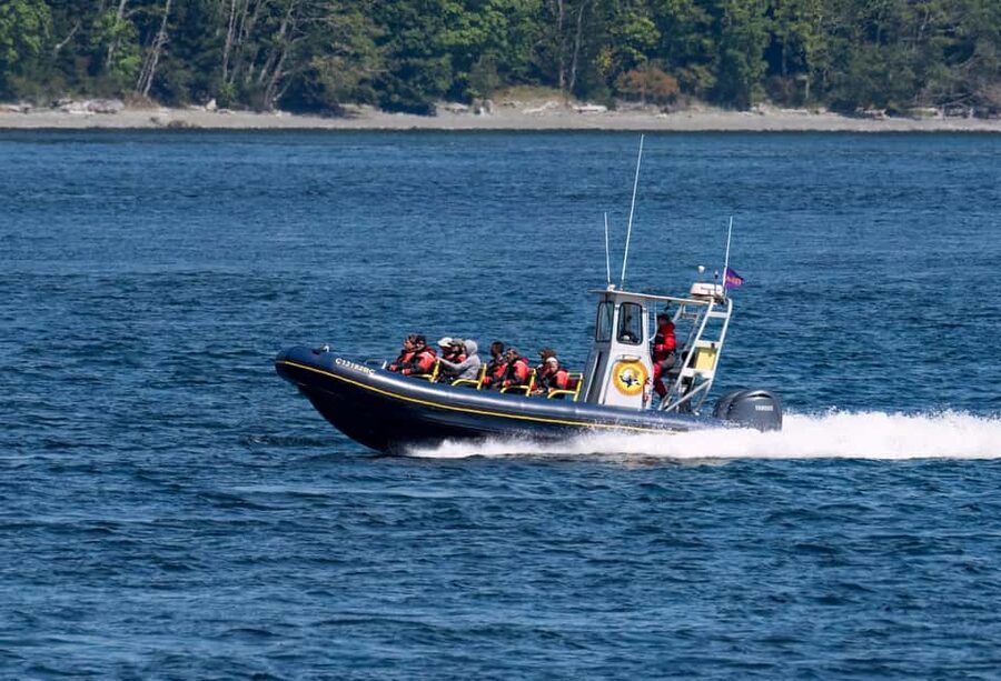 Campbell River: 6 Hour Zodiac Whale Watching Tour w/ Lunch - Searching for humpback, gray, and minke whales