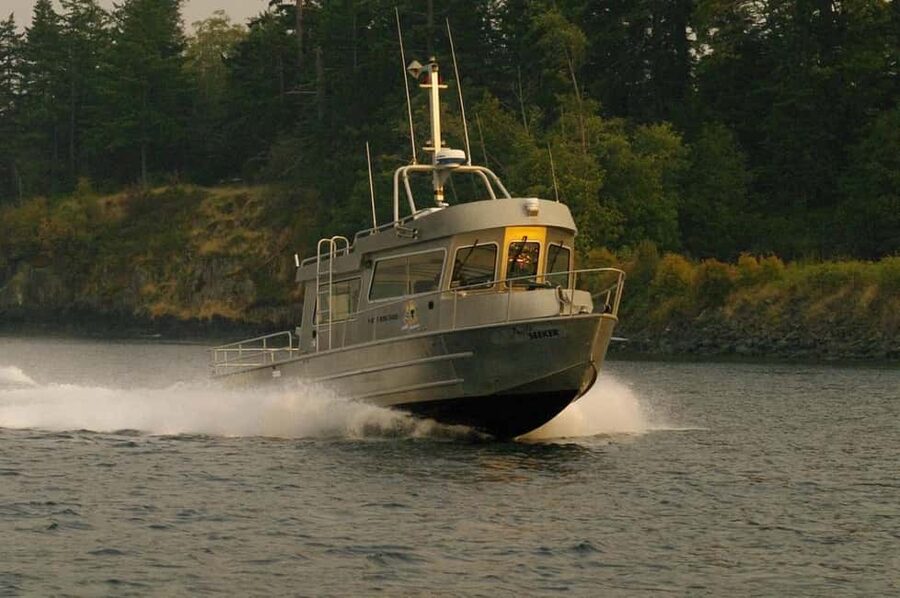 Campbell River: 7-Hour Big Animal Encounter Boat Tour - Key points at a glance