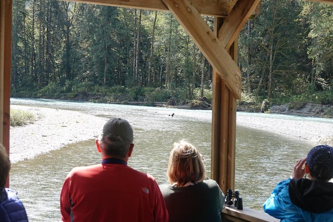 Campbell River: Bute Inlet Grizzly-Watching Tour & Boat Ride - The Orford River Valley and its salmon-fed bears
