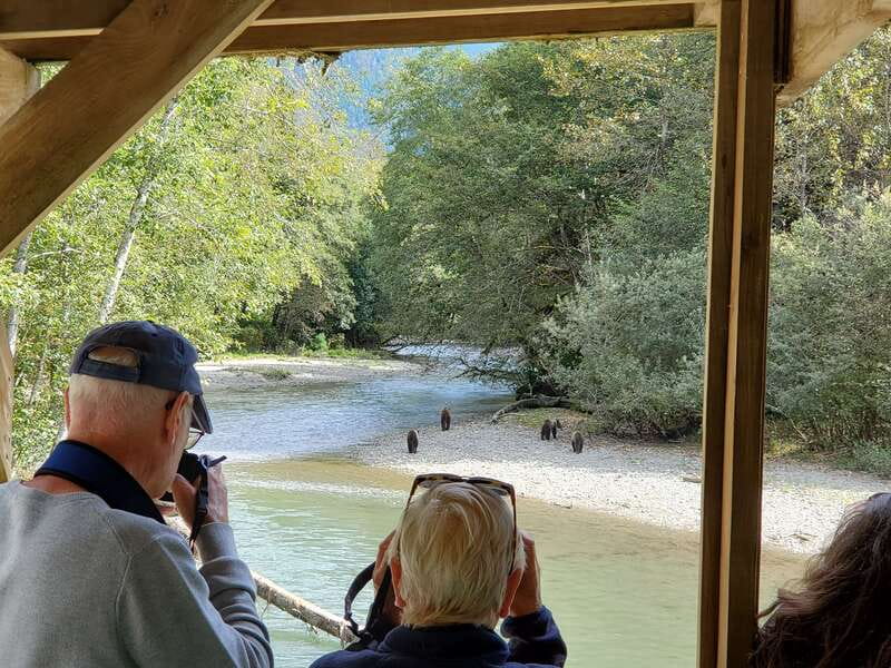 Campbell River: Grizzly Bear-Watching Tour with Lunch - Key points to know before booking