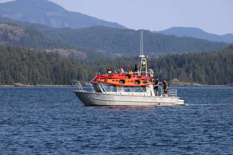 Campbell River: Kayaking and Whale Watching Tour - The morning plan: kayaking in remote coastal water