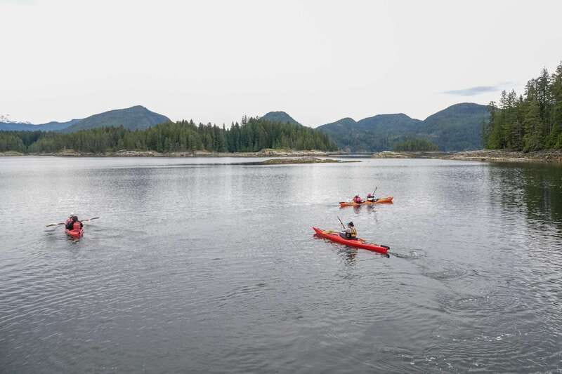 Campbell River: Kayaking and Whale Watching Tour - What to bring for a comfortable day