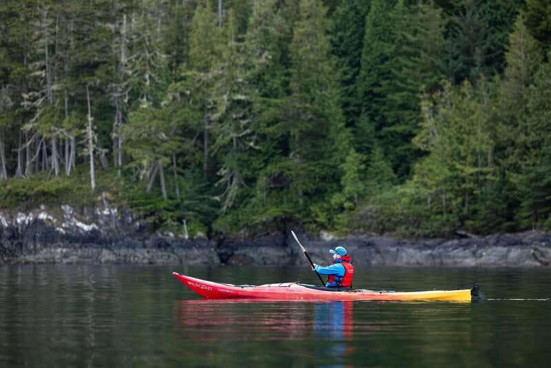 Campbell River: Kayaking and Whale Watching Tour - Who should book this tour?
