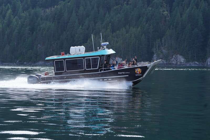 Campbell River: Salish Sea Whale Watching Adventure - Should you book it?