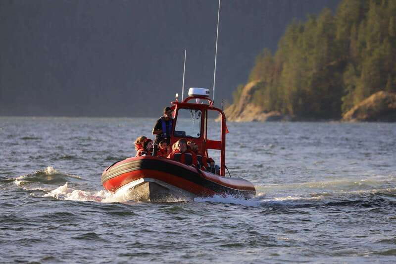 Campbell River: Whale & Wildlife Discovery Cruise - Guides, hydrophones, and responsible viewing