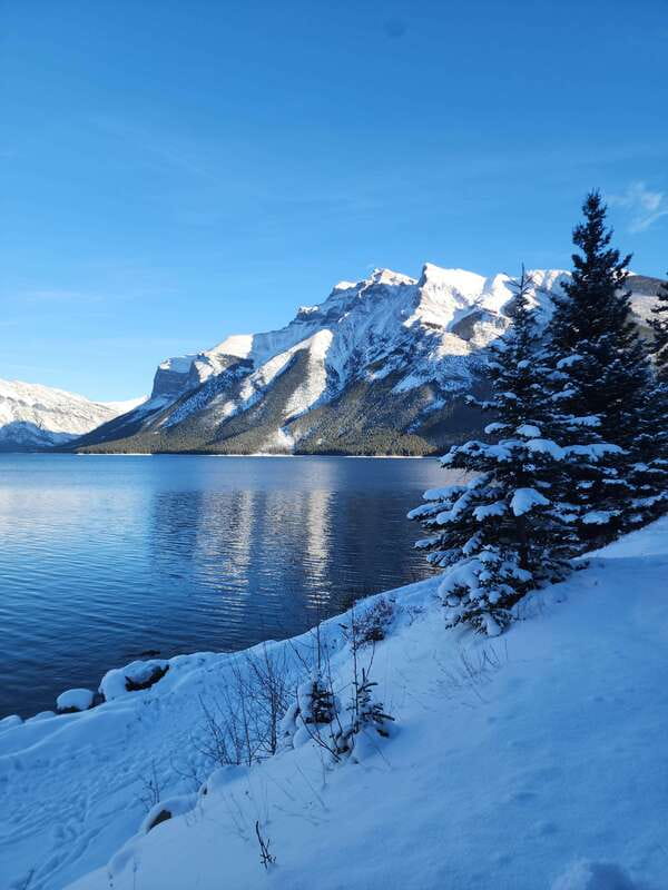 Canmore/Banff: Explore Banff & Wildlife - What this Banff wildlife tour is really designed to do