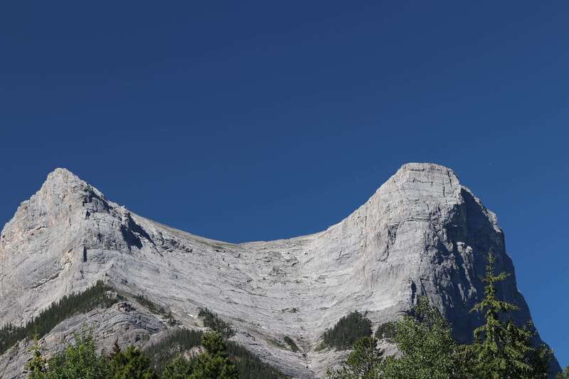 Canmore: Bow River Scenic Float Tour - Wildlife and the changing river views