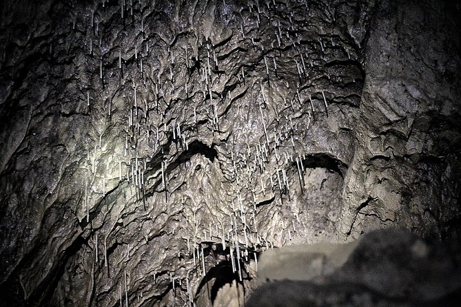 Canmore Caving Explorer Tour - The $111.90 cost and what it covers