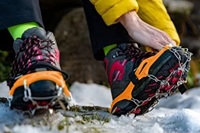 Canmore: Lost Towns and Untold Stories Hiking Tour - 3hrs - Mountain views and local plant life