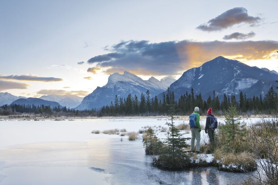Canmore: PRIVATE SAFARI Drive to BANFF Park & Nature Walk - Photography without rushing the scenery