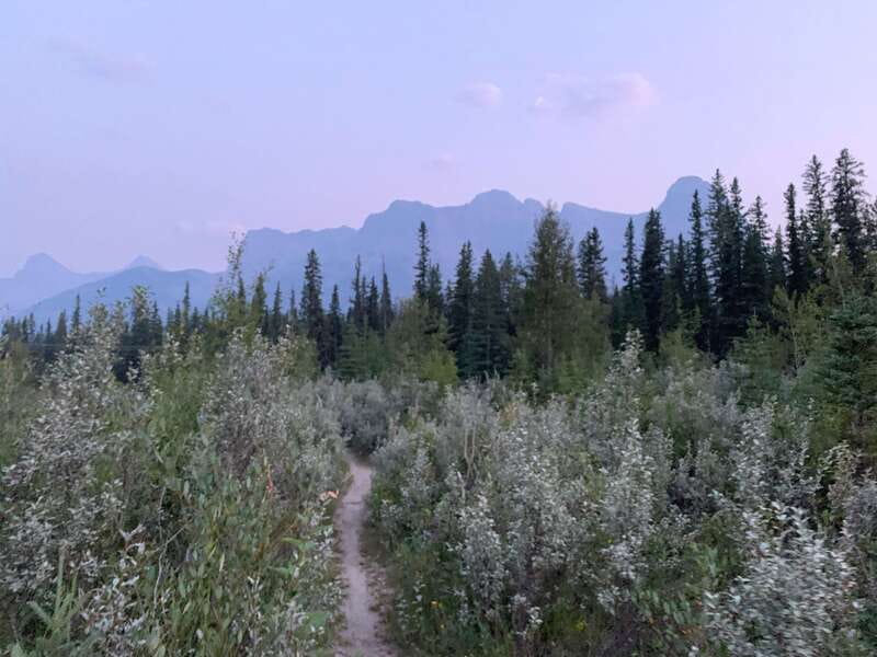 Canmore: PRIVATE SAFARI Drive to BANFF Park & Nature Walk - What the $438 price really buys