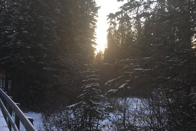 Canmore: Stargazing and Nature by Nightfall Walking Tour - 2hr - Is $69.81 a fair price?