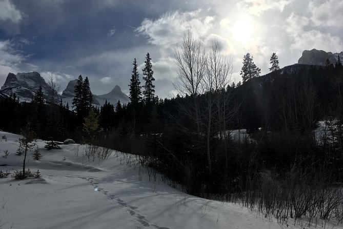Canmore: Stargazing and Nature by Nightfall Walking Tour - 2hr - Cancellation and weather protection
