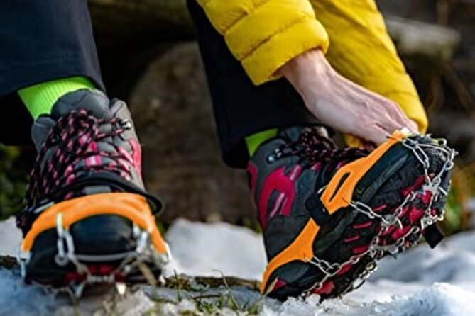 Canmore: Wilderness & Wildlife Tour - 2hr Walk - Wildlife without false promises